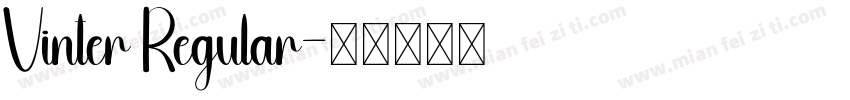 Vinter Regular字体转换